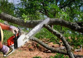 Best Firewood Processing and Delivery  in Goodland, KS